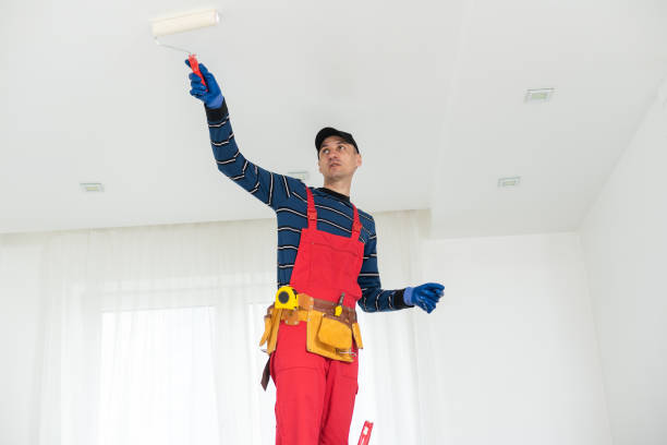 Professional Dry wall and painting in Lisle, IL